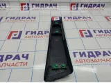 Накладка стойки средняя наружная правая Citroen C 4 98072547XT.