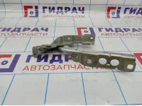 Петля капота левая Citroen C 4 7912GY.