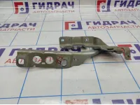 Петля капота правая Citroen C 4 791351.