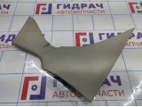 Обшивка стойки задней верхней левая Citroen C 4 98002007DS.