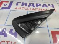 Накладка переднего крыла левого Citroen C 4 9025EQ.