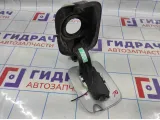 Ниша лючка бензобака Citroen C 4 9802957680. С лючком.