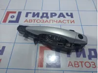 Ручка двери передней наружная левая Citroen C 4 9101LV.