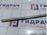 Накладка стекла двери задней правой Citroen C 4 .