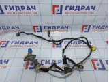 Проводка двери передней левой Citroen C 4 9805560480.