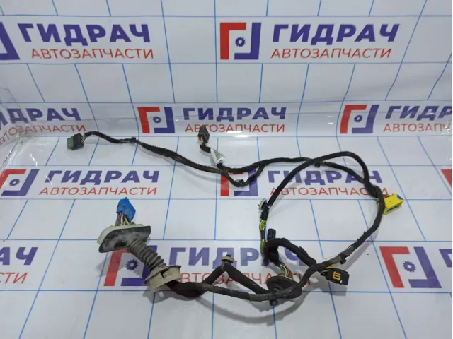 Проводка двери передней левой Citroen C 4 9805560480.