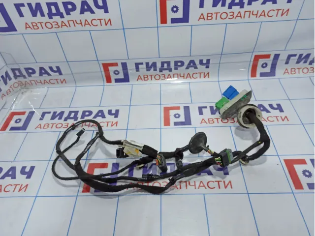 Проводка двери передней правой Citroen C 4 .