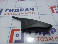 Накладка зеркала заднего вида Citroen C 4 9670593877.