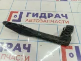 Направляющая стекла двери задней левой задняя Citroen C4 II 9674638380