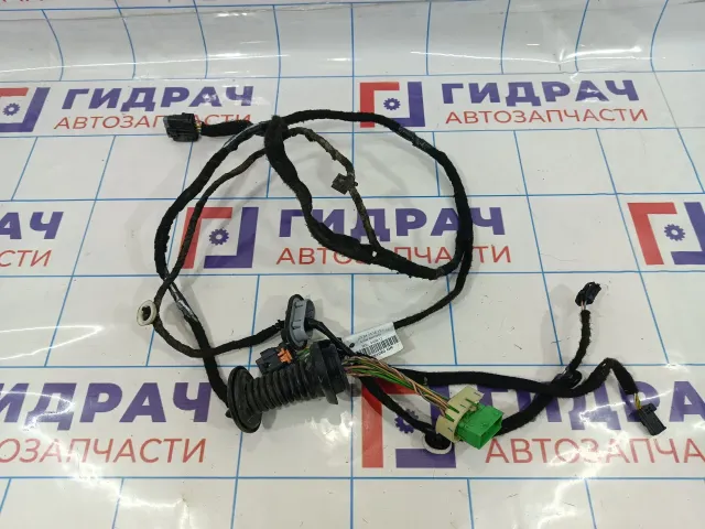Проводка двери задней правой Citroen C4 II 9805561080