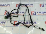 Проводка двери задней левой Citroen C4 II 9805561080
