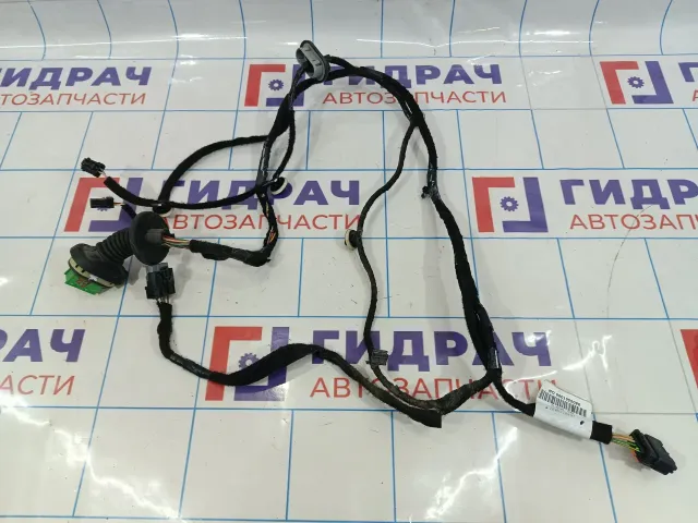 Проводка двери задней левой Citroen C4 II 9805561080