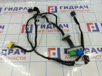 Проводка двери передней левой Citroen C4 II 9805560480
