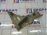 Обшивка стойки задней верхней левая Citroen C4 II 98002007DS