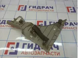 Обшивка стойки задней верхней правая Citroen C4 II 98002004DS