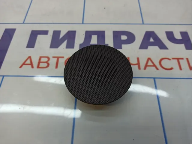 Динамик Citroen C4 II 90220017304