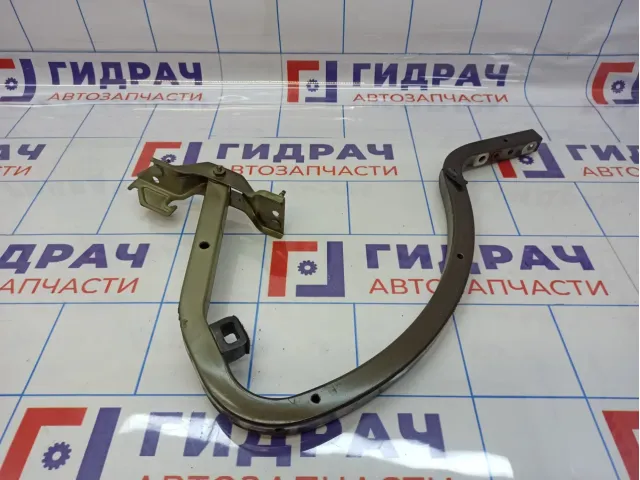 Петля крышки багажника левая Citroen C4 II 9677495080