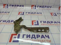 Петля капота левая Citroen C4 II 9676867080