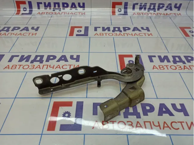 Петля капота правая Citroen C4 II 9676866980