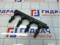 Рампа (кассета) катушек зажигания Citroen C4 II 9800251580