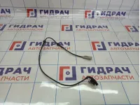 Датчик ABS задний Citroen C4 II 9665386880