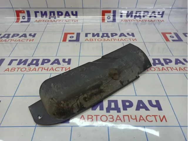 Защита антигравийная Citroen C4 II 9805387880