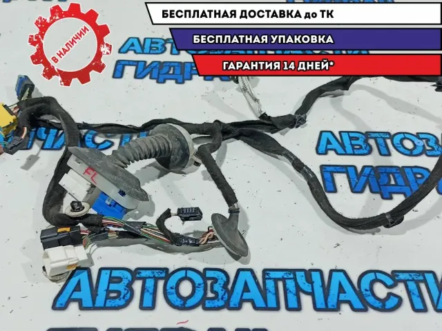 Проводка двери передней левой Citroen C4 B7 9800020780.