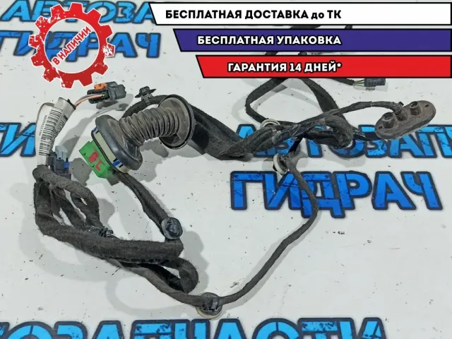 Проводка двери задней левой Citroen C4 B7 9800022780.