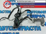 Проводка двери передней правой Citroen C4 B7 9800021580.