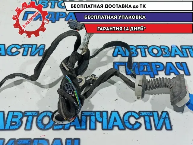 Проводка двери передней правой Citroen C4 B7 9800021580.