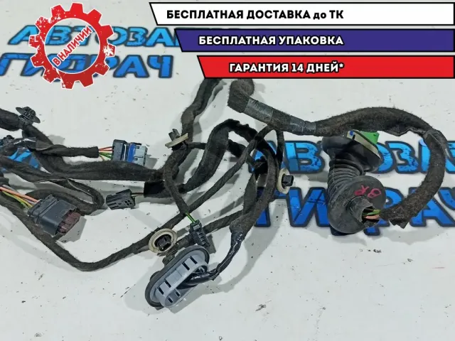 Проводка двери задней правой Citroen C4 B7 9800022780.