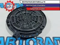 Динамик двери задний Citroen C4 B7 9665231980. 6562CS.