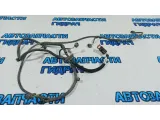 Проводка датчиков парковки задних Citroen C4 B7 9672179080. 6599AL.