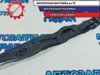 Пыльник крыла переднего левый Citroen C4 B7 9687401280.