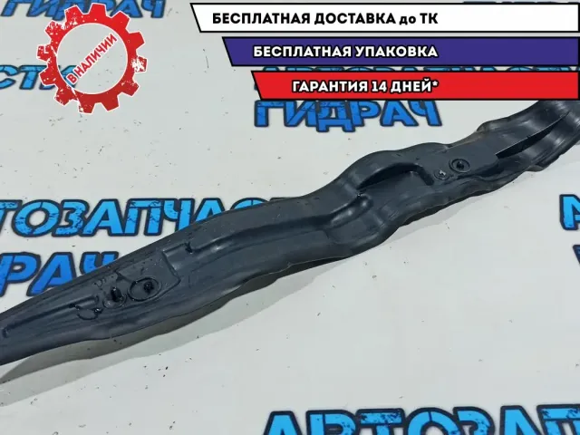 Пыльник крыла переднего левый Citroen C4 B7 9687401280.