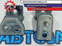 Петли двери задней правой Citroen C4 B7 .