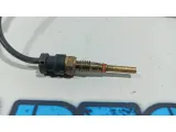 Датчик температуры Citroen C4 B7 9807521080.