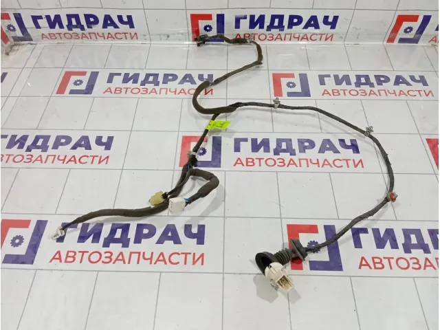 Проводка двери задней Daewoo Gentra II 96613942