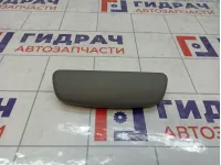 Очечник Daewoo Gentra II 96412811