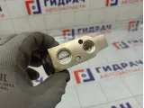 Клапан кондиционера Daewoo Gentra II 96492806