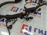 Проводка двигателя Daewoo Gentra II
