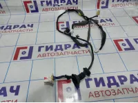 Проводка двери задней левой Daewoo Gentra II 96613942