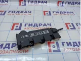 Накладка декоративная Daewoo Gentra II 25187419