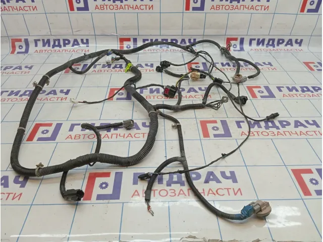 Проводка моторная Daewoo Gentra II 95328604