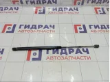 Амортизатор крышки (двери) багажника Daewoo Matiz 96563503