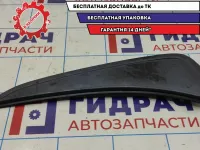 Накладка на заднее крыло левая Datsun On-Do 73915-5PA0D. Накладка на заднее крыло левая Datsun On-Do 73915-5PA0D.