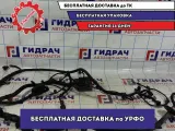 Проводка подкапотная Datsun On-Do 8450100694.