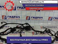 Проводка подкапотная Datsun On-Do 8450100694.