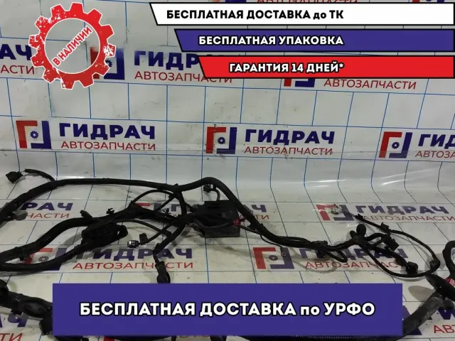 Проводка подкапотная Datsun On-Do 8450100694.