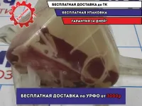 Бачок расширительный Datsun On-Do 21710-5PA0B. Дефект, сломано крепление.